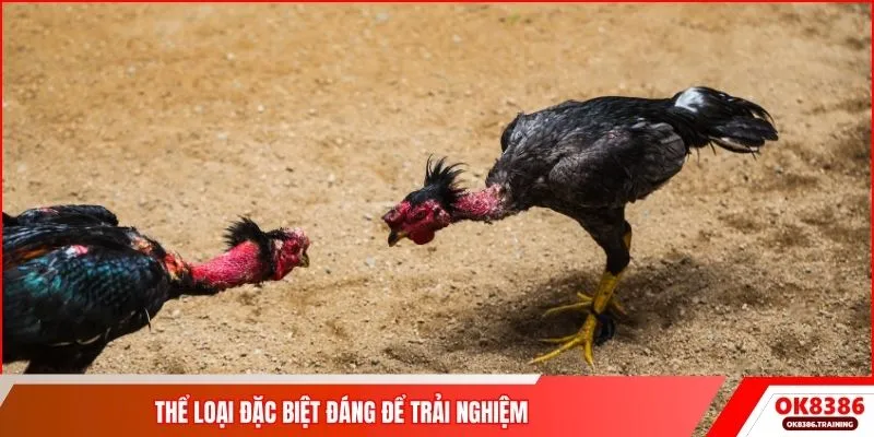 Thể loại đặc biệt đáng để trải nghiệm