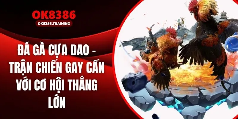 Đá Gà Cựa Dao – Trận Chiến Gay Cấn Với Cơ Hội Thắng Lớn