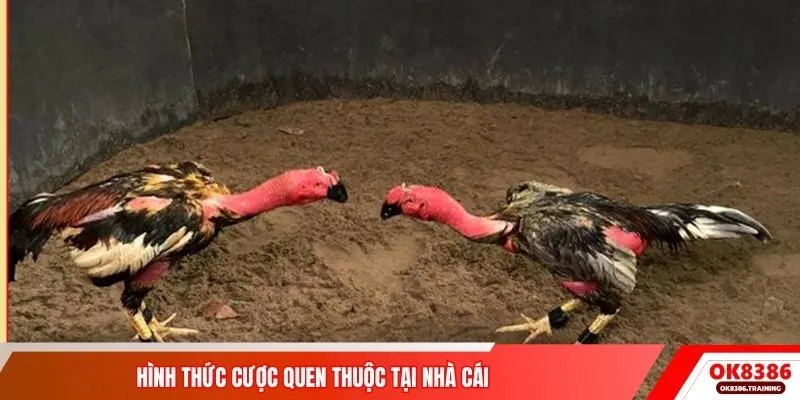 Hình thức cược quen thuộc tại nhà cái