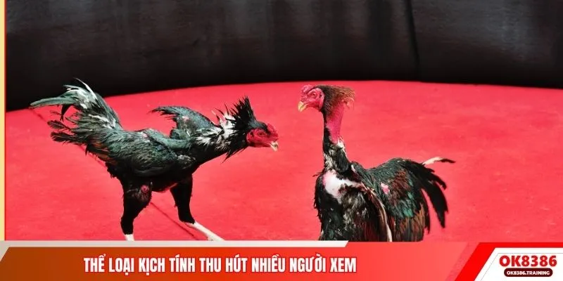 Thể loại kịch tính thu hút nhiều người xem