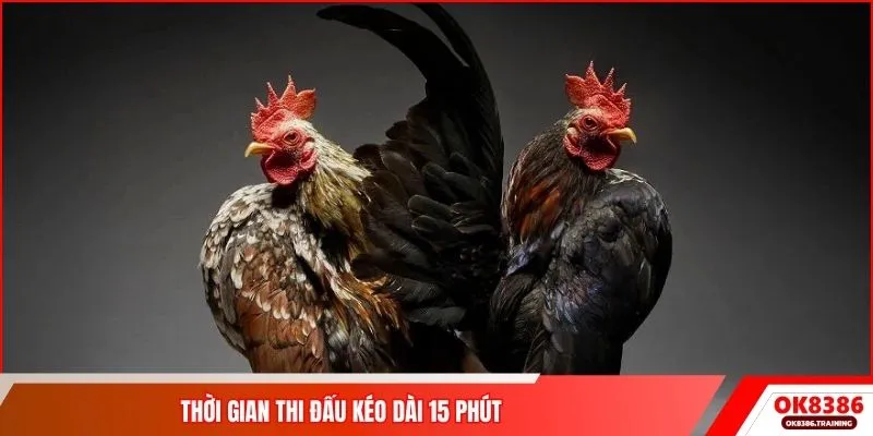 Thời gian thi đấu kéo dài 15 phút
